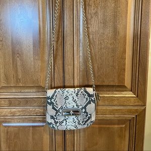 Coach Crossbody clutch in snake skin.